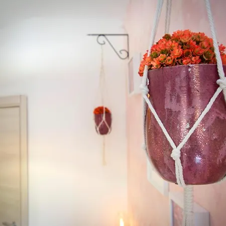 Nocleg ze śniadaniem Piccolo Boutique