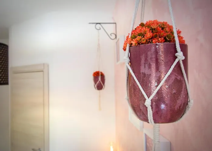 ベッド・アンド・ブレックファスト Piccolo Boutique